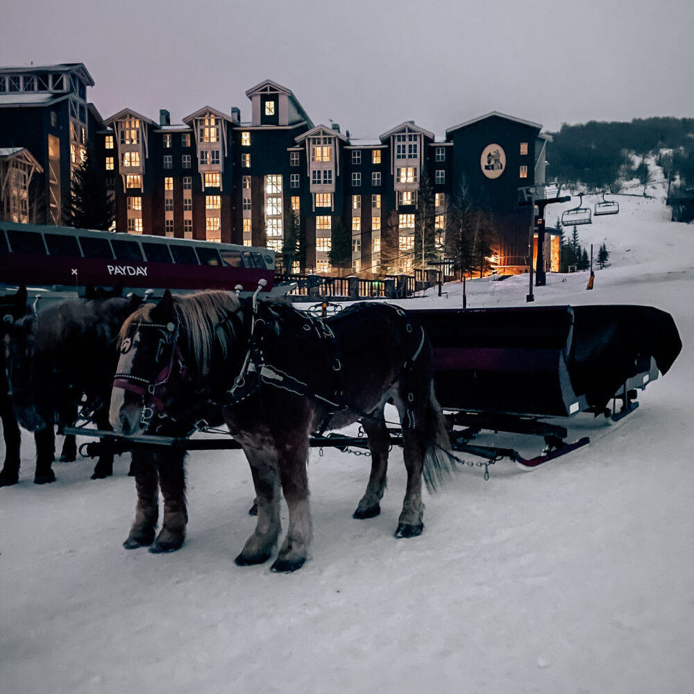 Park City sleigh ride