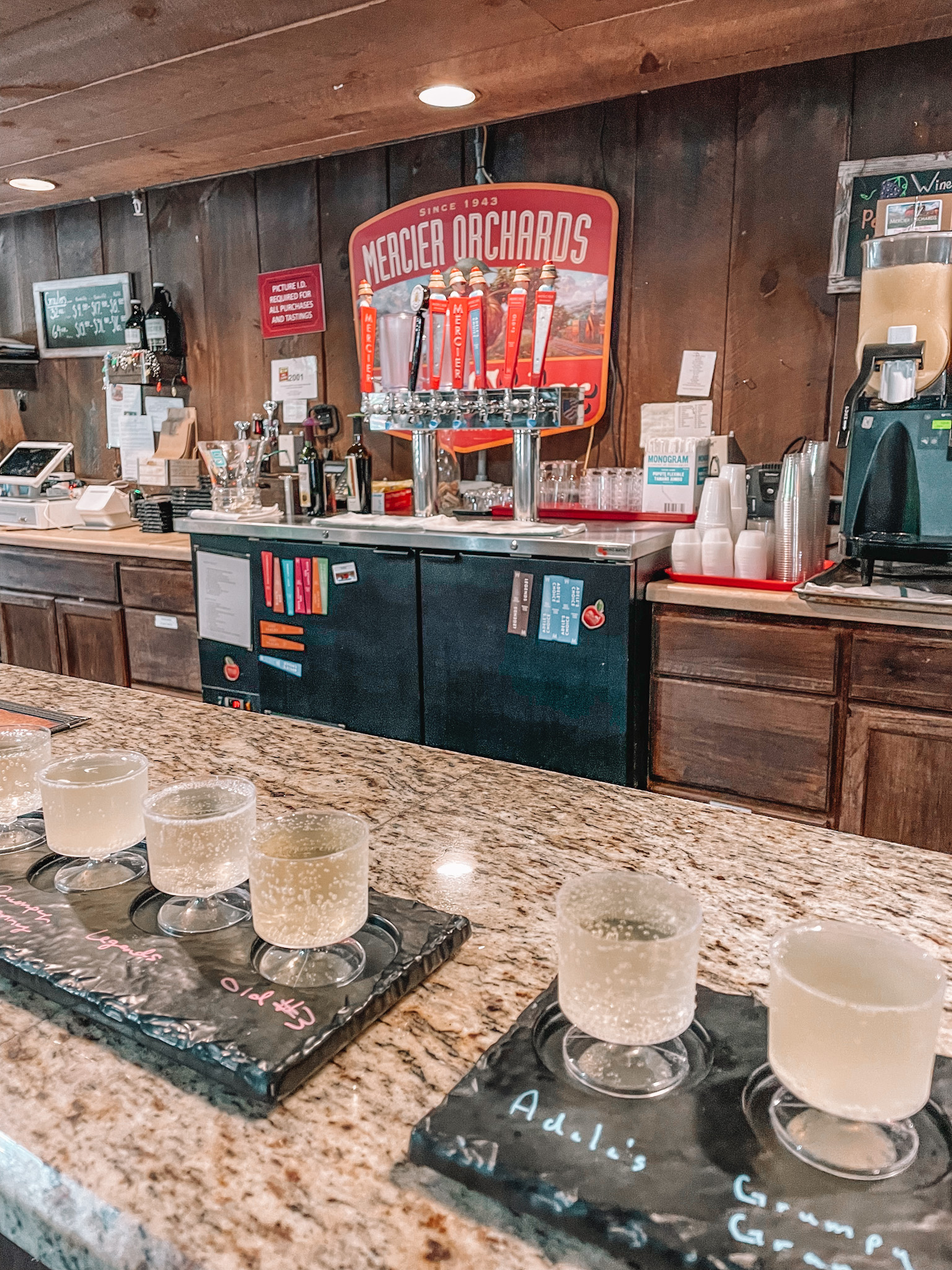 The ultimate travel guide for Blue Ridge GA 2023 - Travel Meets Style