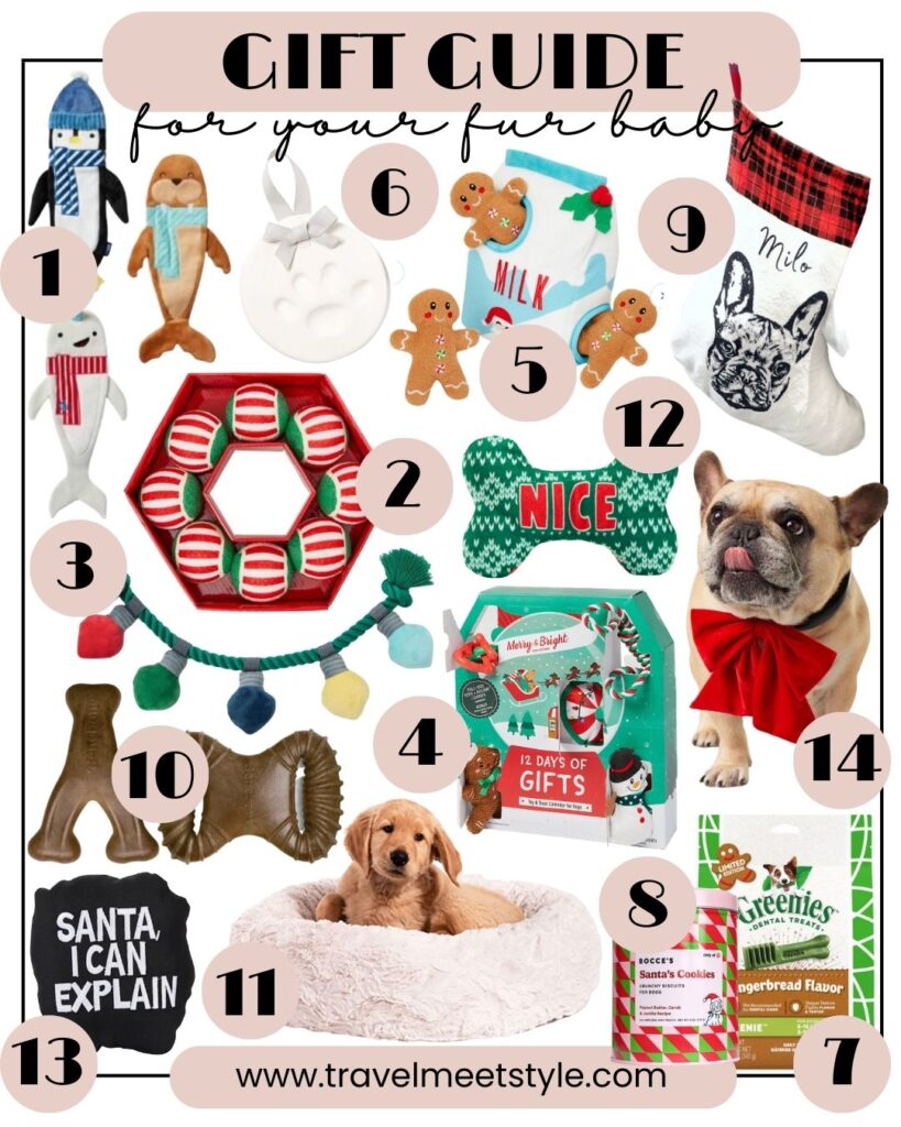 Christmas Gifts For Your Dog - Pampering Your Pet