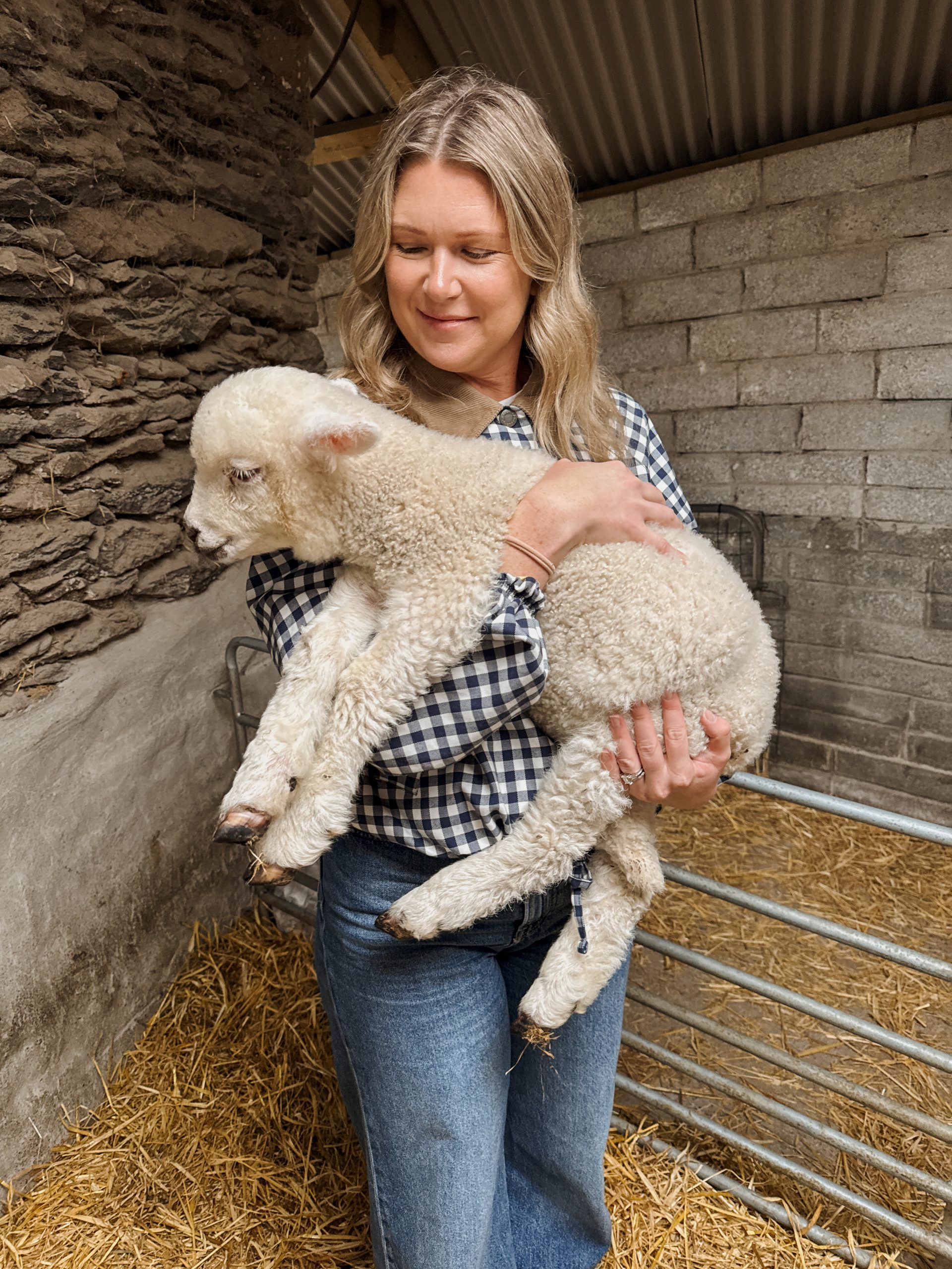 Woman holding lamb at Beehive Huts in Dingle, Ireland