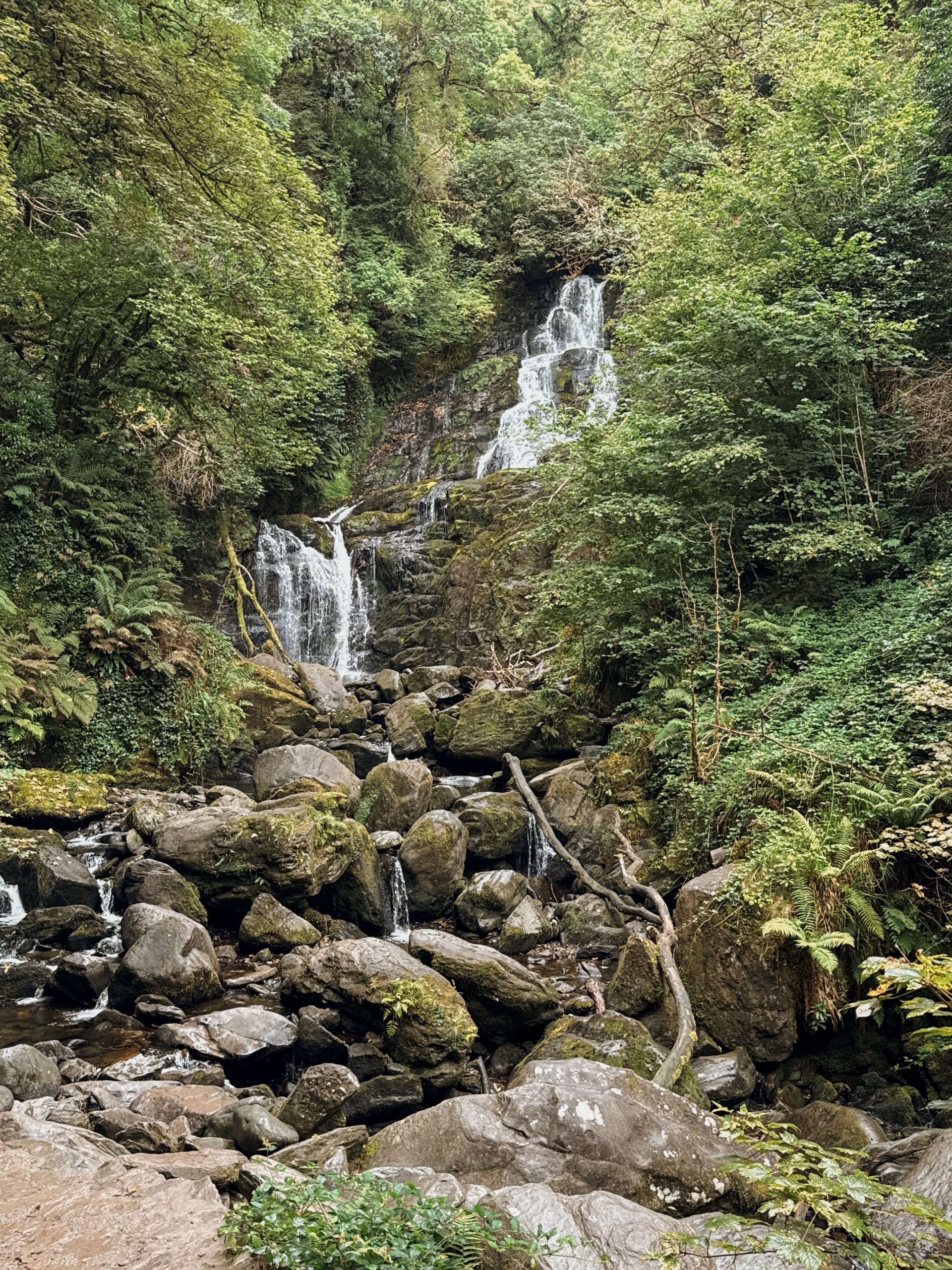 Scenic photo of Torc Waterfall on the Ring of Kerry in Killarney, Ireland